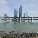 장덕풍천산삼민물장어 이미지