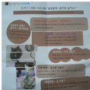 흙과나무 이미지