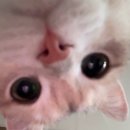 워시톡 (WASH TALK) | [생일선물 추천] 카카오톡 선물하기로 받은 르라보 샤워젤 만다린향 솔직 후기 🍊