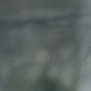 신림자유한의원 이미지