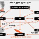 우리생선 이미지