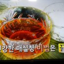 천기누설 매실청 담그는법 이미지