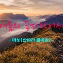 여름의 끝자락에서(At the edge of Summer) 이미지