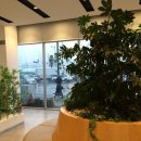 기아자동차(주)의왕서비스센터 이미지