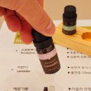 봉은사마사지 / 나의 두 번째 오후, 더하노이풋앤바디 청담르엘점 힐링 후기