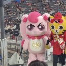뽀끼왕 | 롱 타임 노 씨 (아닐 수도