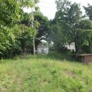 용인정신병원 이미지