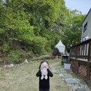 아갤러리 이미지