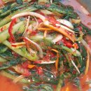 (주)열무 이미지