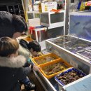 망상해변내 4호 | [속초 설악항 회센터] 현지인 추천 가성비 맛집 ‘4호 현진호’! 4인 코스 12만원의 행복