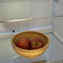 동림하녹東林夏綠 | 안동한옥숙소 추천 동림하녹 애견동반가능한 독채펜션