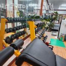 아인스 코리아 헬스클럽 이미지