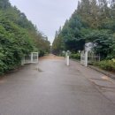 중앙로 메타세콰이아길 이미지