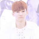 눈썹빨 Daum카페