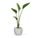 성심 태양광발전소 이미지