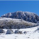 한라산 선작지왓 이미지