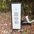 새소리물소리 | 성남 한옥카페 새소리 물소리 서울 근교 정원 예쁜 전통찻집