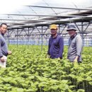 초록영농
