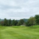 골프드래곤 이미지