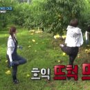 기안농장 이미지