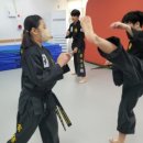 경남 합기도 이미지