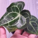 참농비료 이미지