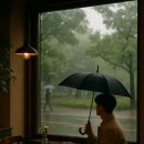 미사천 | ☕ 비 오는 주말, 서울·수도권 ‘감성 실내 카페’ 추천 TOP 5 (우산 들고 떠나는 카페 투어)