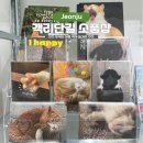 해피오락실 | 전주 객사 놀거리 객리단길 소품샵 투어 뚜벅이 여행코스