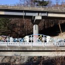 대관령초등학교 이미지