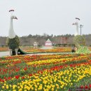 원예종합실험동 화장실 | 4월 충남여행 태안가볼만한곳,태안세계튤립꽃박람회 내돈내산 축제 솔직후기(주차,가격)