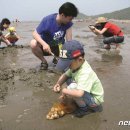 [포내마을]바다낚시 뉴스1