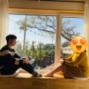 미영이네 민박 이미지