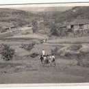 담티고가교 이미지