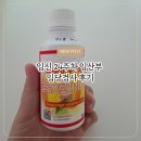 시약 | 24주 차 임산부 임당 검사 후기 (시약 복용부터 채혈까지)