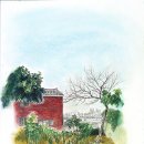 자라 앞 이미지