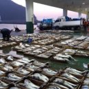 양일회집 이미지