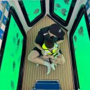 제주 함덕 잠수함 국제리더스클럽 펭귄 반잠수정 아기랑 체험 후기