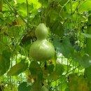 엄마품마을 이미지