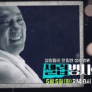 셀럽 bnt뉴스