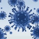 금천구 견인차량보관소 이미지