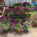 송암농원 이미지