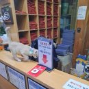 원주한증막 이미지