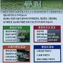 뽕잎동충하초해물칼국수