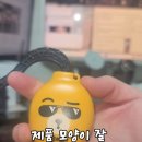 브루스안