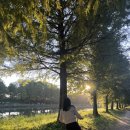 멕시카나치킨화정점 이미지