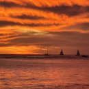 이레농장 2 | [하와이] 신혼여행 7박 9일 오아우 호놀룰루 와이키키 가볼만한 곳, 맛집, 투어 추천 리스트 list