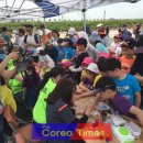 오룡초등학교 이미지