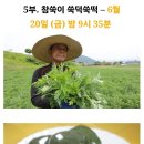 환상떡방앗간