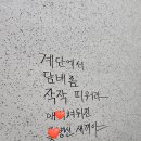 신성노래연습장 이미지