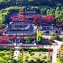 유산마을진입로 이미지